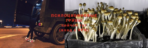 мяу мяу кристалл Каменногорск