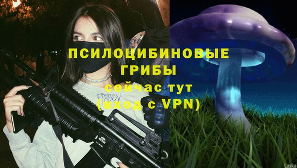 мяу мяу кристалл Каменногорск