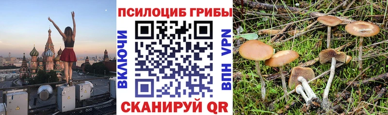 Купить  Воскресенск  Галлюциногенные грибы мухоморы 